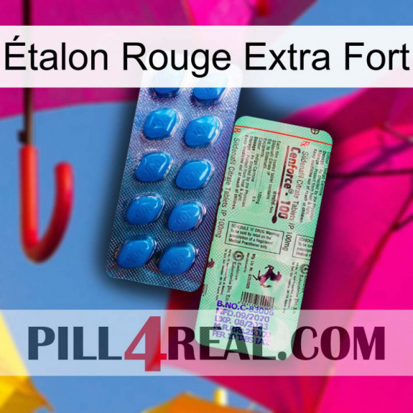 Étalon Rouge Extra Fort new02